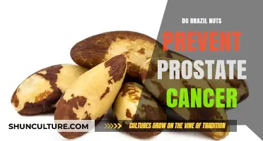 Brazil Nuts and Prostate Cancer: Uncovering the Potential Protective Benefits