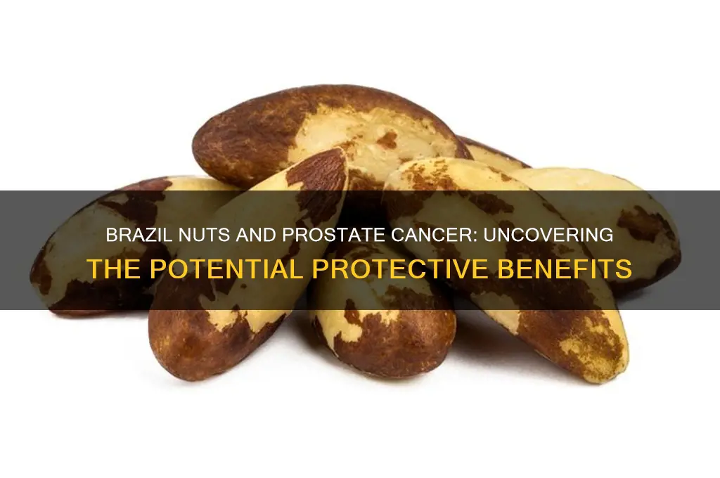 do brazil nuts prevent prostate cancer
