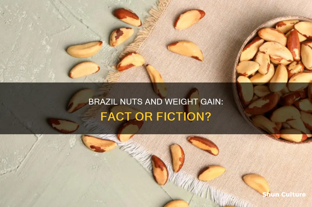 do brazil nuts put on weight