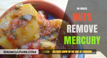 Brazil Nuts and Mercury: Debunking Detox Myths and Facts