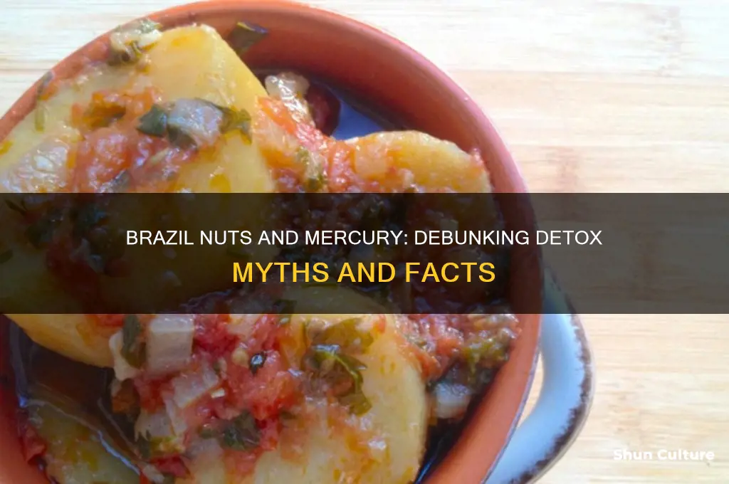 do brazil nuts remove mercury