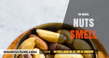 Do Brazil Nuts Smell? Uncovering the Truth About Their Aroma