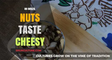 Do Brazil Nuts Taste Cheesy? Exploring Their Unique Flavor Profile
