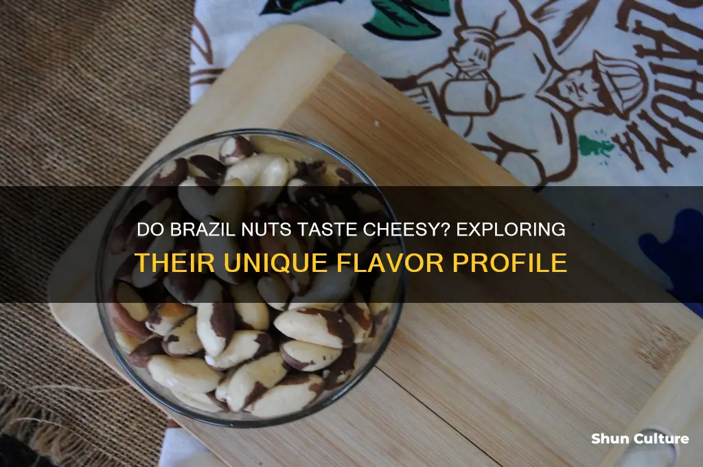 do brazil nuts taste cheesy