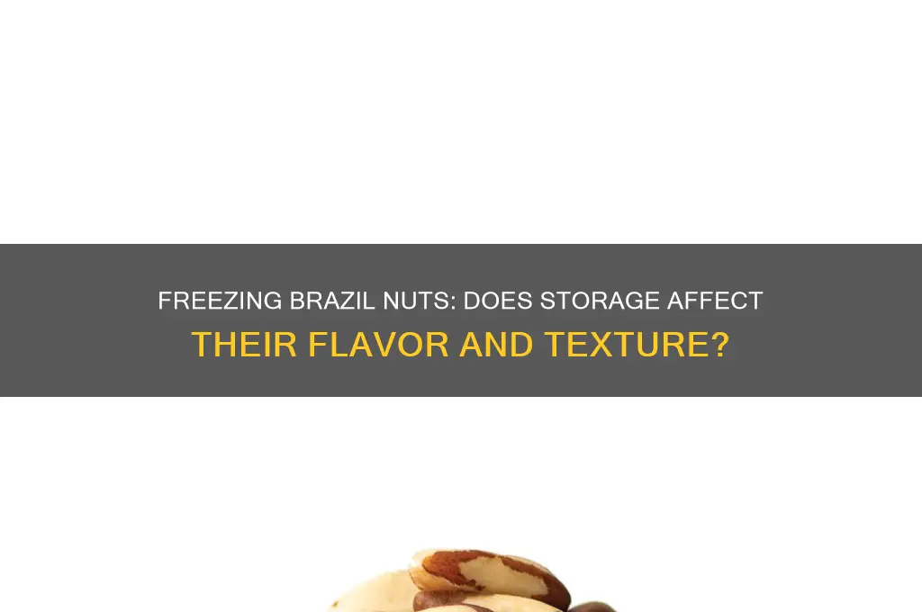 do brazil nuts taste differant when stored in freezer
