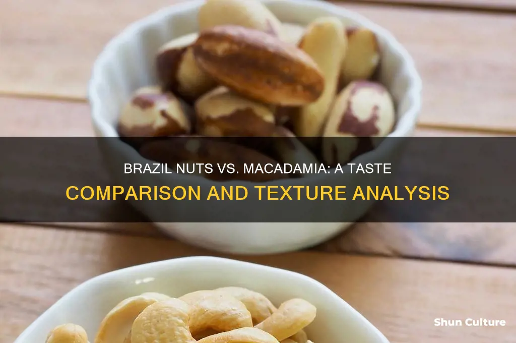 do brazil nuts taste like macadamia nuts