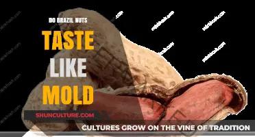 Do Brazil Nuts Taste Like Mold? Unraveling the Unique Flavor Mystery