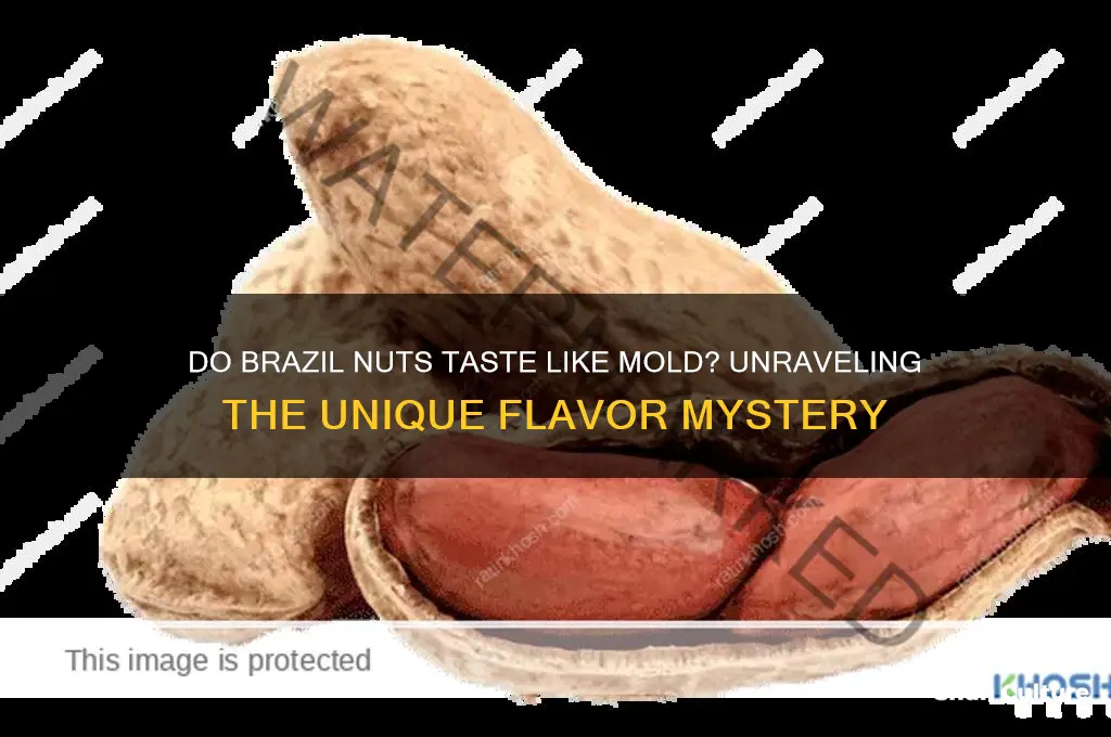 do brazil nuts taste like mold