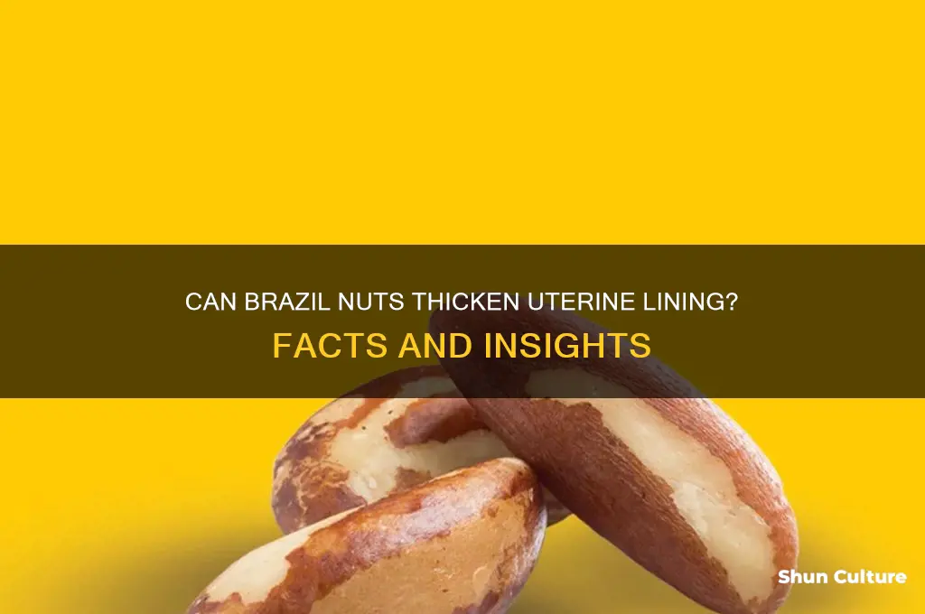 do brazil nuts thicken uterine lining