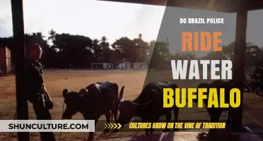 Do Brazilian Police Patrol on Water Buffalo? Unveiling the Truth
