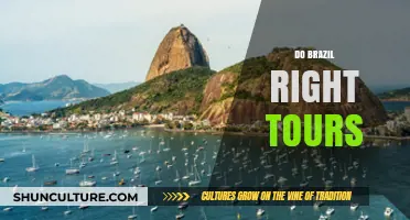 Explore Brazil Authentically: Top Tips for Unforgettable Tours