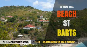 Discover Brazil Shell Beach: St. Barts' Hidden Tropical Paradise