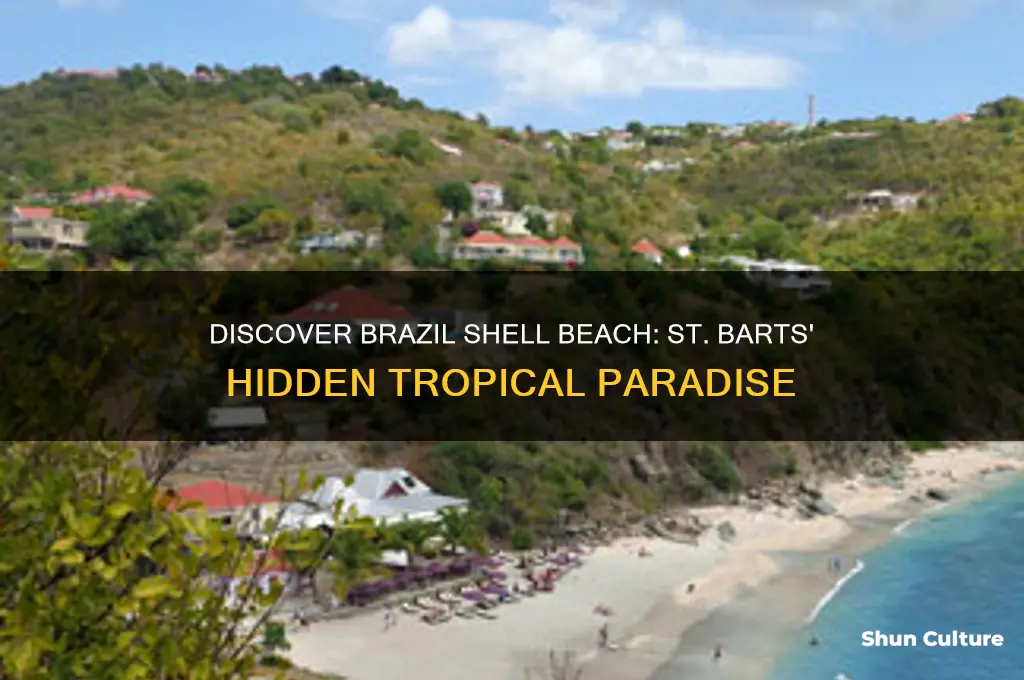 do brazil shell beach st barts