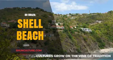 Discover the Stunning Beauty of Brazil's Shell Beach Paradise