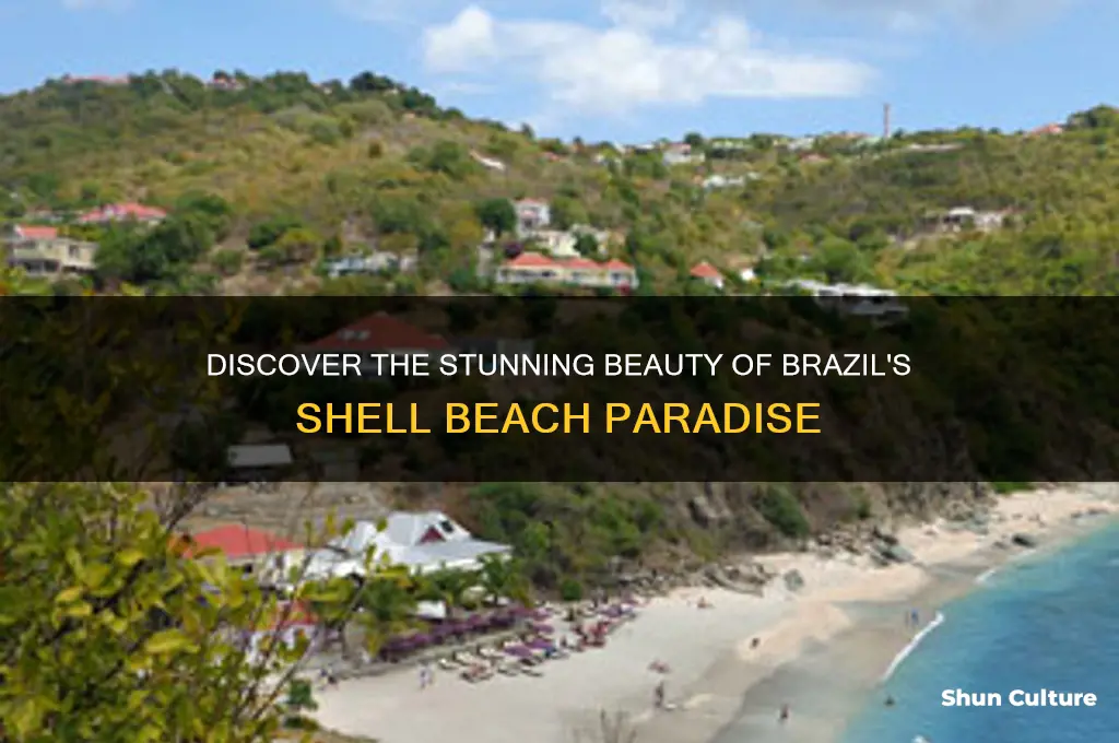 do brazil shell beach