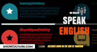 Do Brazilians Speak English? Exploring Language Trends in Brazil