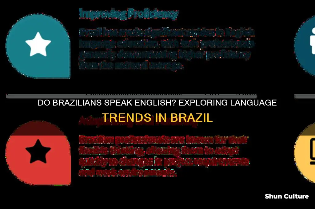 do brazil speak english