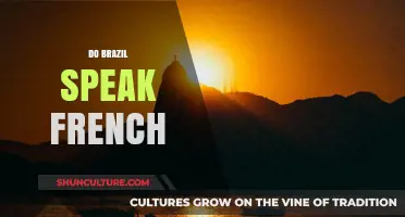 Do Brazilians Speak French? Unraveling Brazil's Official Language and Culture