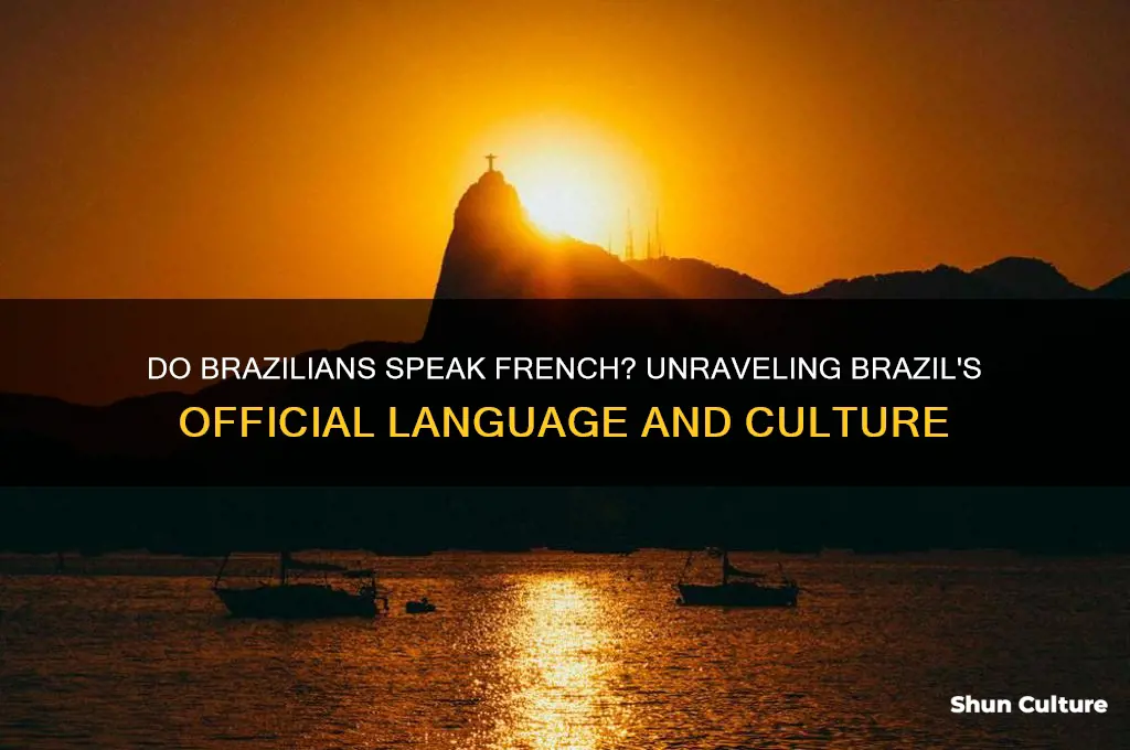 do brazil speak french