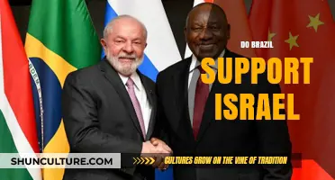 Brazil's Stance on Israel: Diplomatic Relations and Political Perspectives