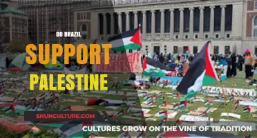 Brazil's Stance on Palestine: Solidarity, Diplomacy, and Global Perspectives