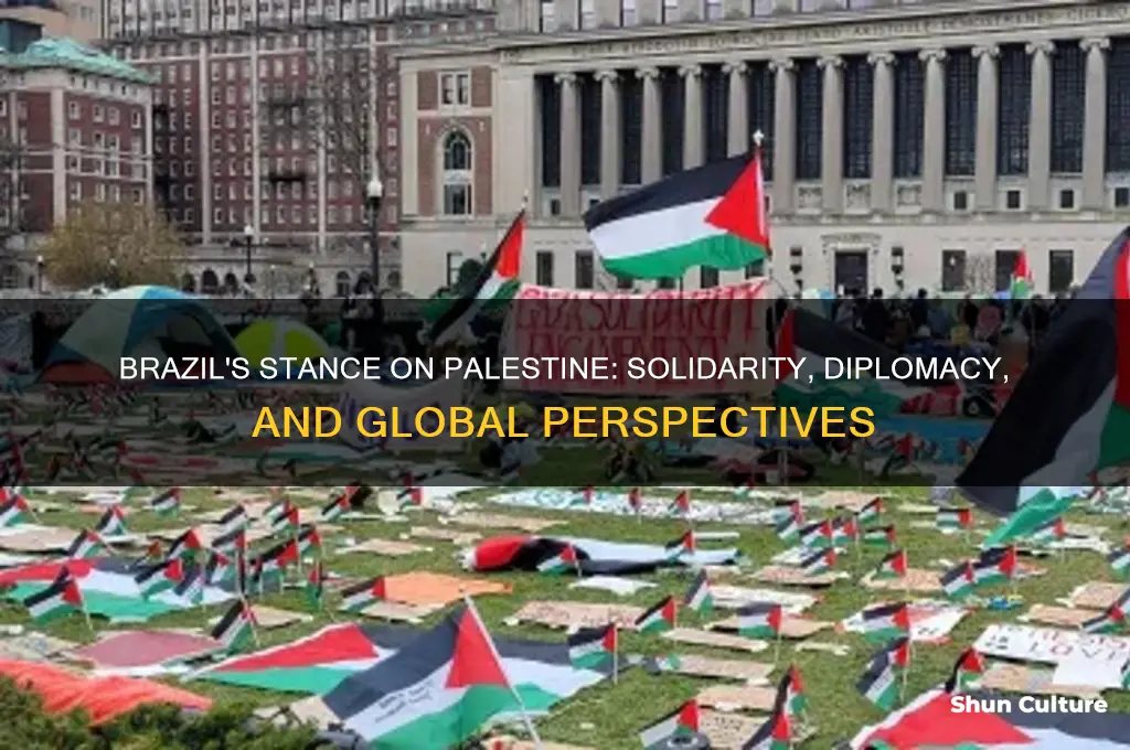 do brazil support palestine