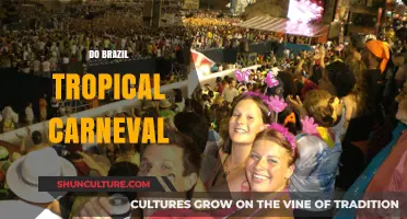 Brazil's Tropical Carnival: A Vibrant Celebration of Culture and Joy