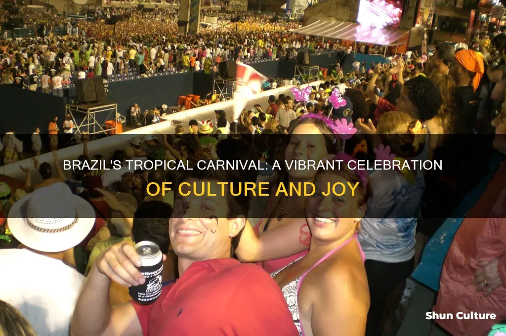 do brazil tropical carneval
