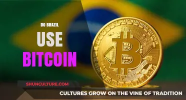 Does Brazil Embrace Bitcoin? Exploring Cryptocurrency Adoption in South America