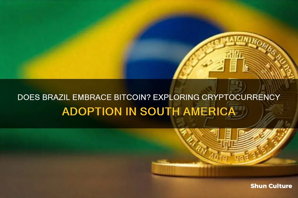 do brazil use bitcoin