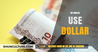 Does Brazil Use the Dollar? Exploring Its Currency and Economy