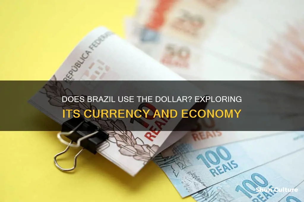do brazil use dollar