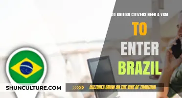 Do British Citizens Need a Visa for Brazil Travel?