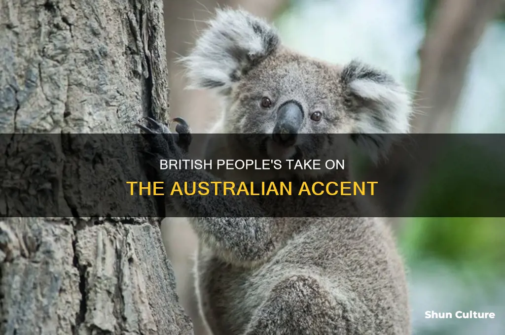 do british like australian accent