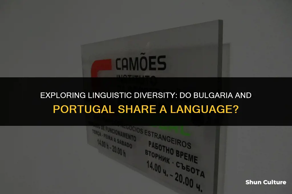 do bulgaria and portugal speak the same language