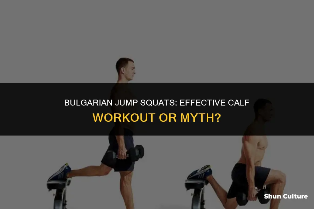 do bulgarian jump squats work calves
