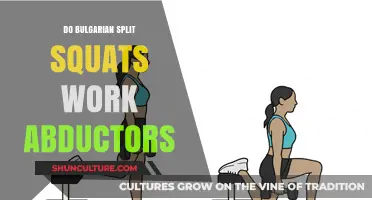Bulgarian Split Squats: Effective for Abductor Strength?