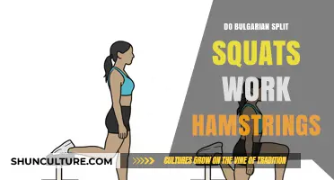 Bulgarian Split Squats: Effective for Hamstring Development?