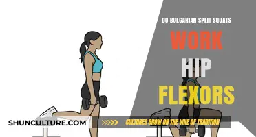 Unlocking Hip Flexor Potential: The Bulgarian Split Squat Debate