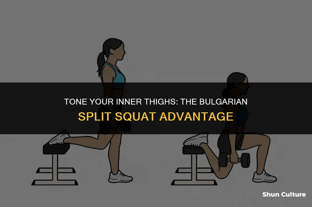 do bulgarian split squats work inner thighs