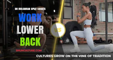 Bulgarian Split Squats: Effective for Lower Back Strength?