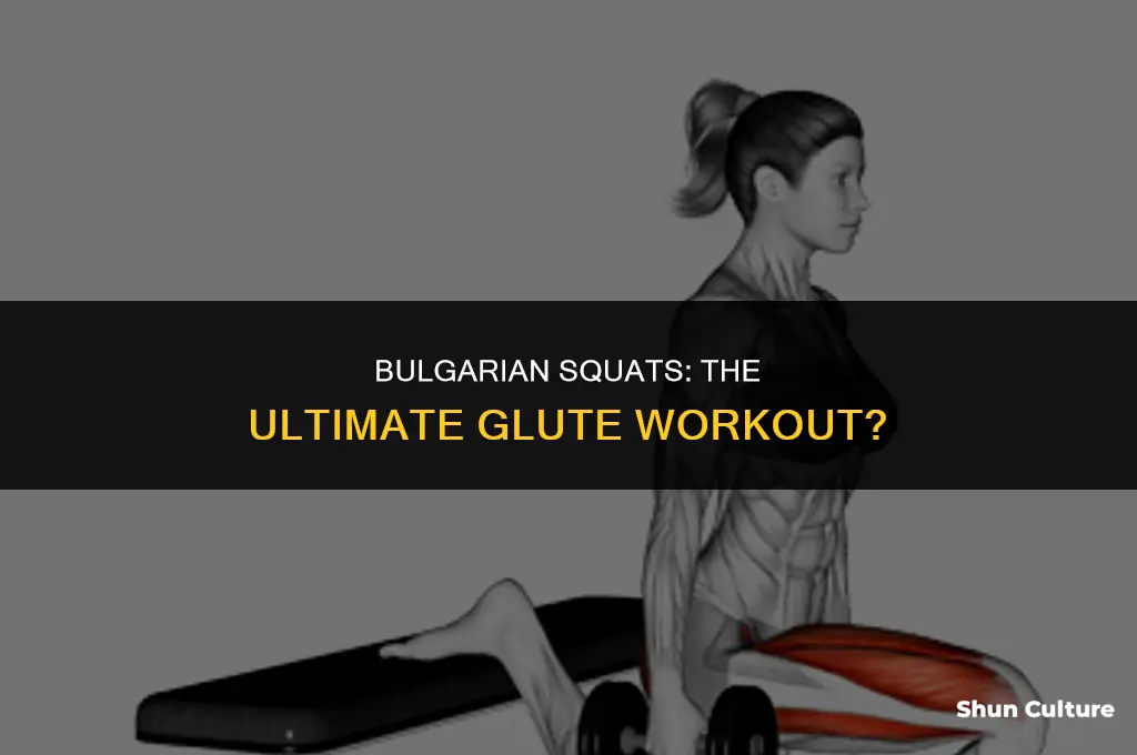 do bulgarian squats work glutes