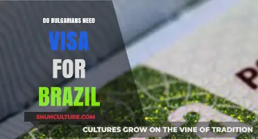 Do Bulgarians Need a Visa for Brazil? Travel Requirements Explained