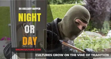 Understanding Burglary Patterns: Does It Happen More at Night or Day?