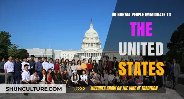 Exploring the Journey: Burmese Immigration to the United States