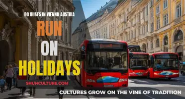 Holiday Travel: Vienna Buses Running Smoothly