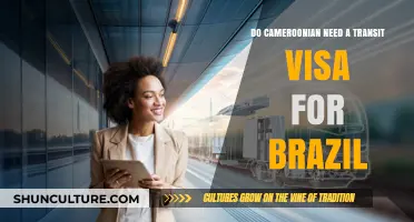 Cameroonian Travelers: Do You Need a Transit Visa for Brazil?