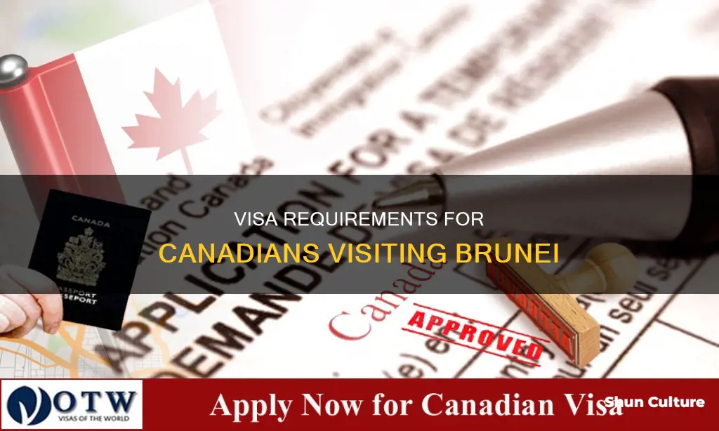 do canadian need visa for brunei