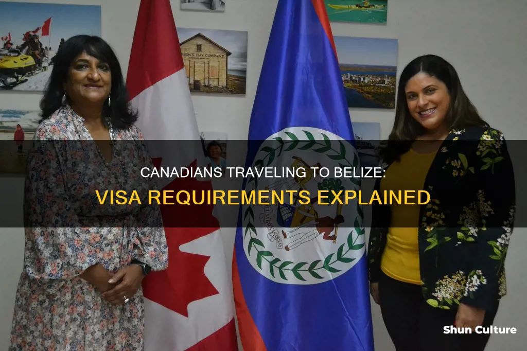 do canadians need vis for belize