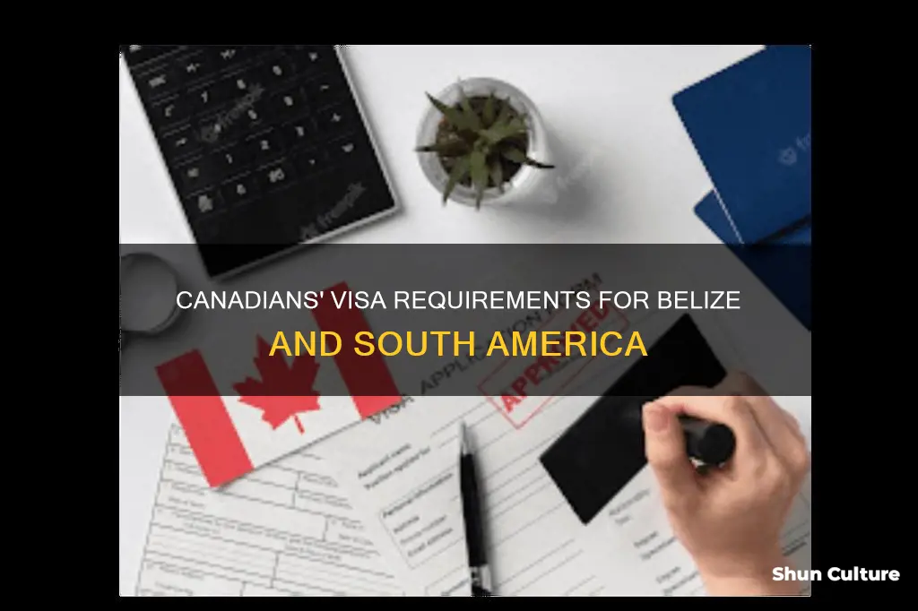 do canadians need visa for belize south america